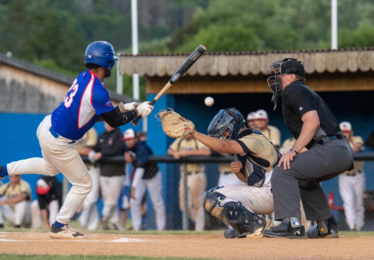 Hornell Steamers fall to Dansville Gliders THE WELLSVILLE SUN