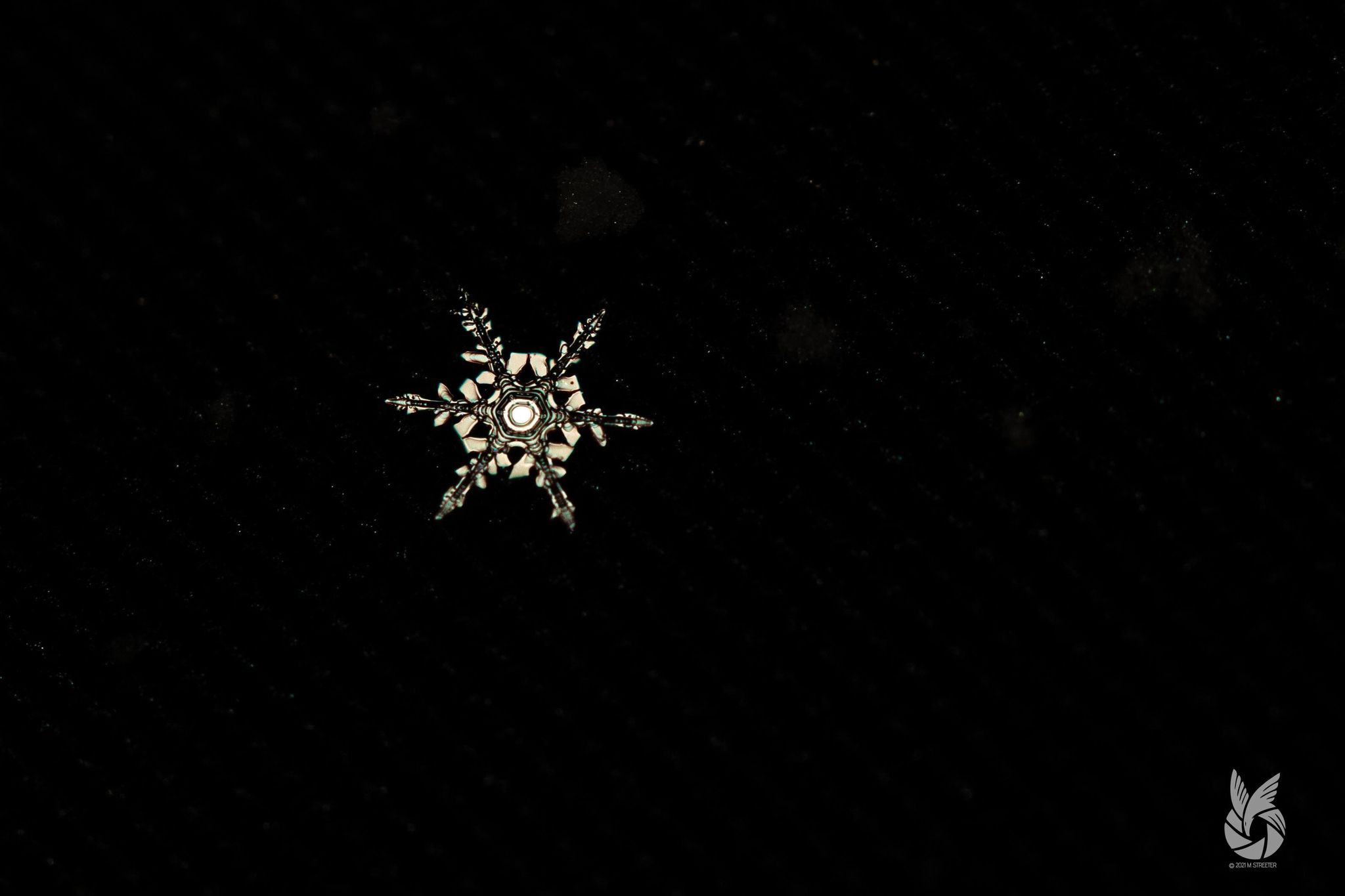 Wellsville Weather Report THE WELLSVILLE SUN