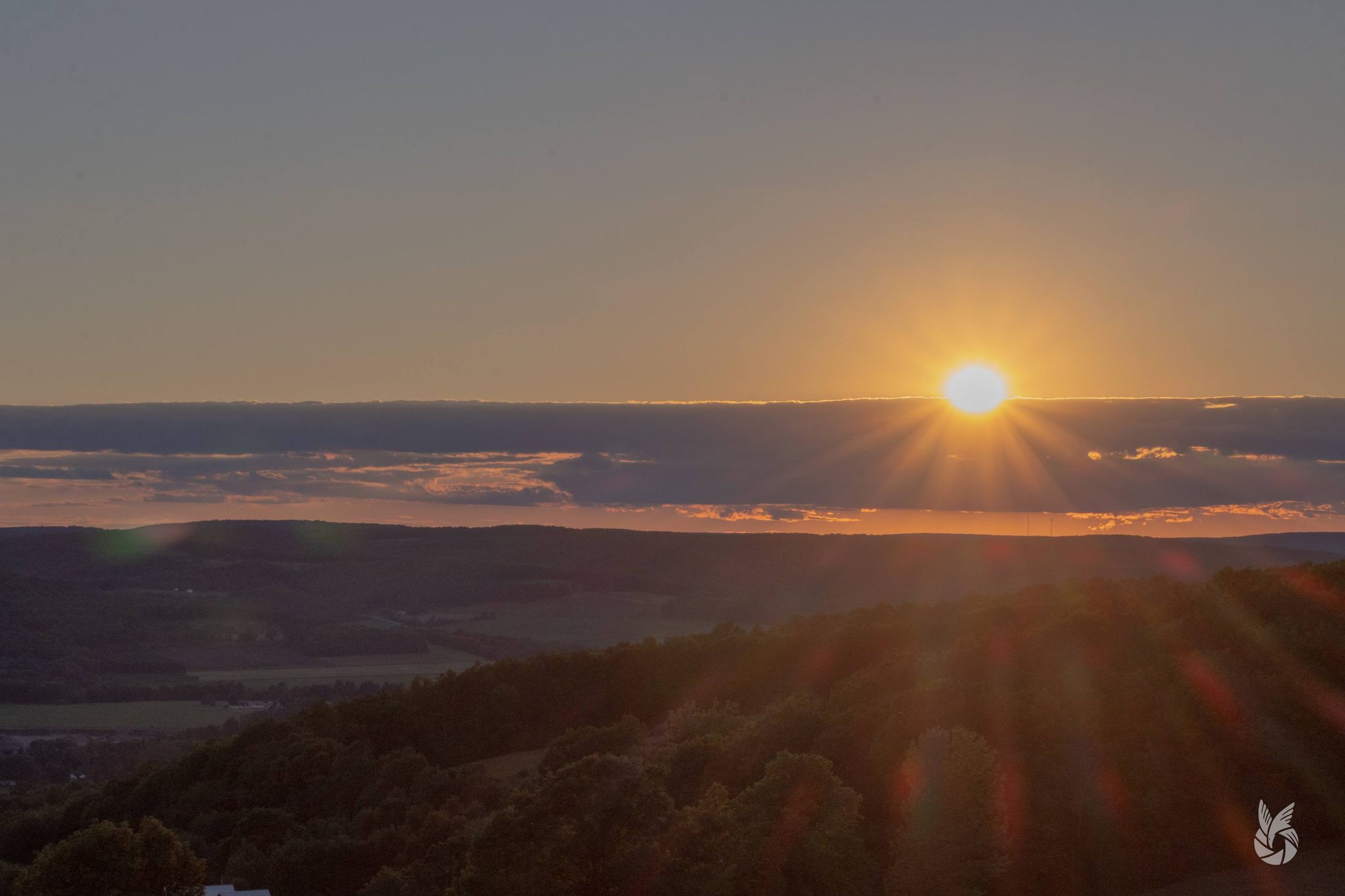 Allegany County 2021 Republican Primary Election Results(Unofficial