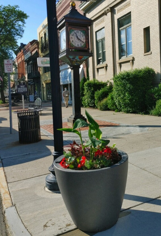 Main Street Flowers!! Volunteers to Water Needed! THE WELLSVILLE SUN