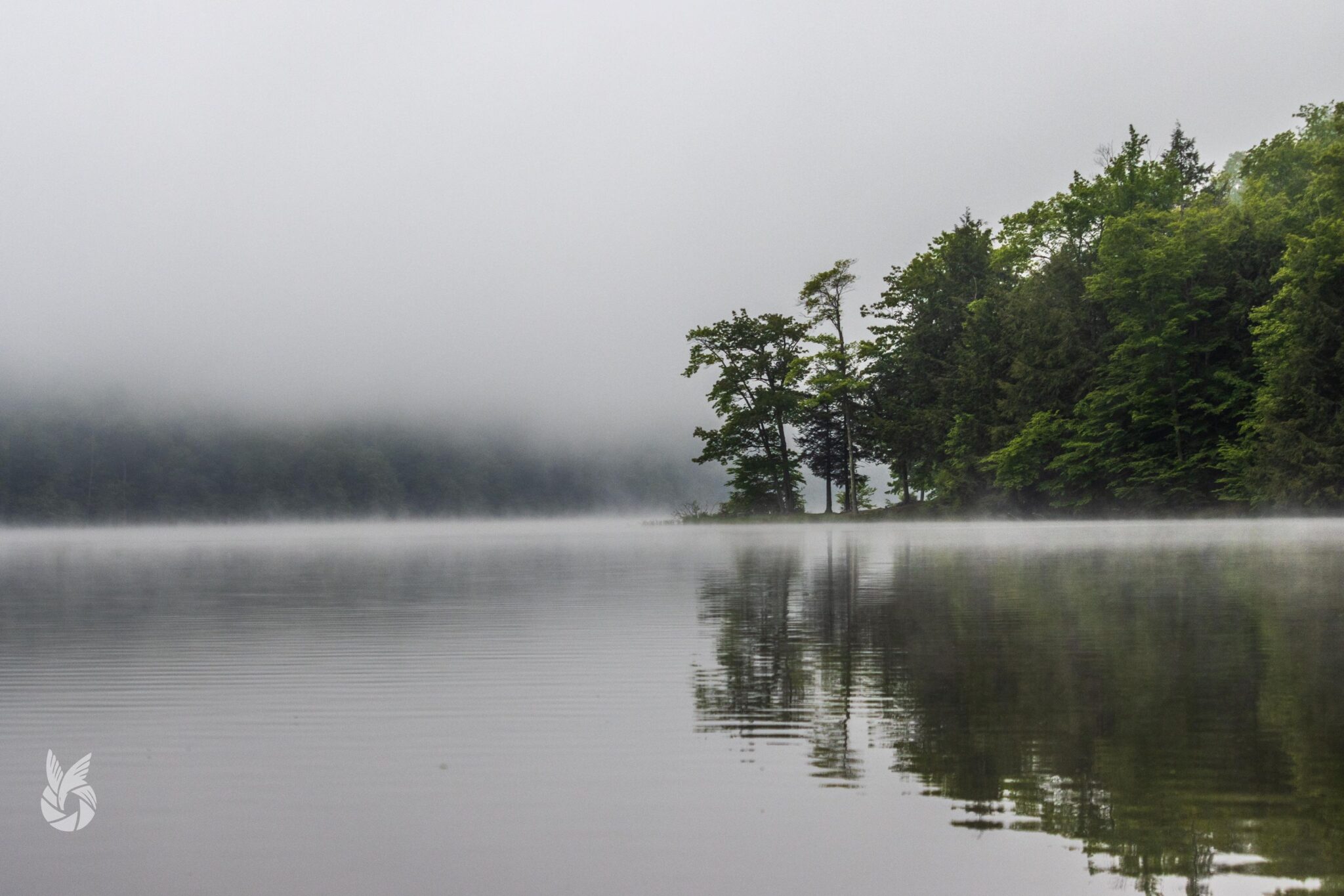 On Alma Pond THE WELLSVILLE SUN