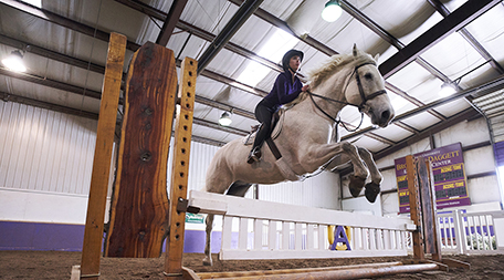 State approves Alfred University’s Equine Business Management degree