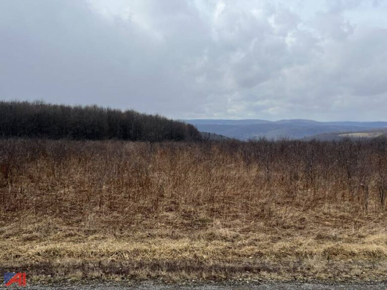 The Allegany County "property tax" auction has ended, see the final