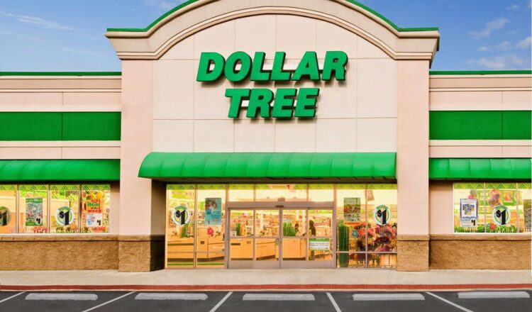 Enhance Your Shopping Experience with Top Picks from Dollar Tree Plus Under  $5