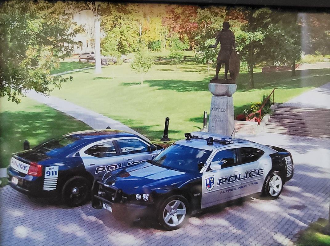 Alfred Police Man arrested for falsely reporting another gang assault