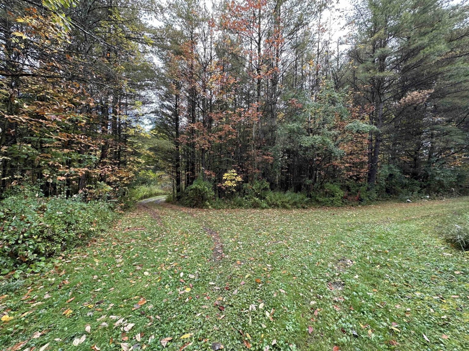 NY Landquest for sale Classic camp with over 100 acres in Pulteney NY