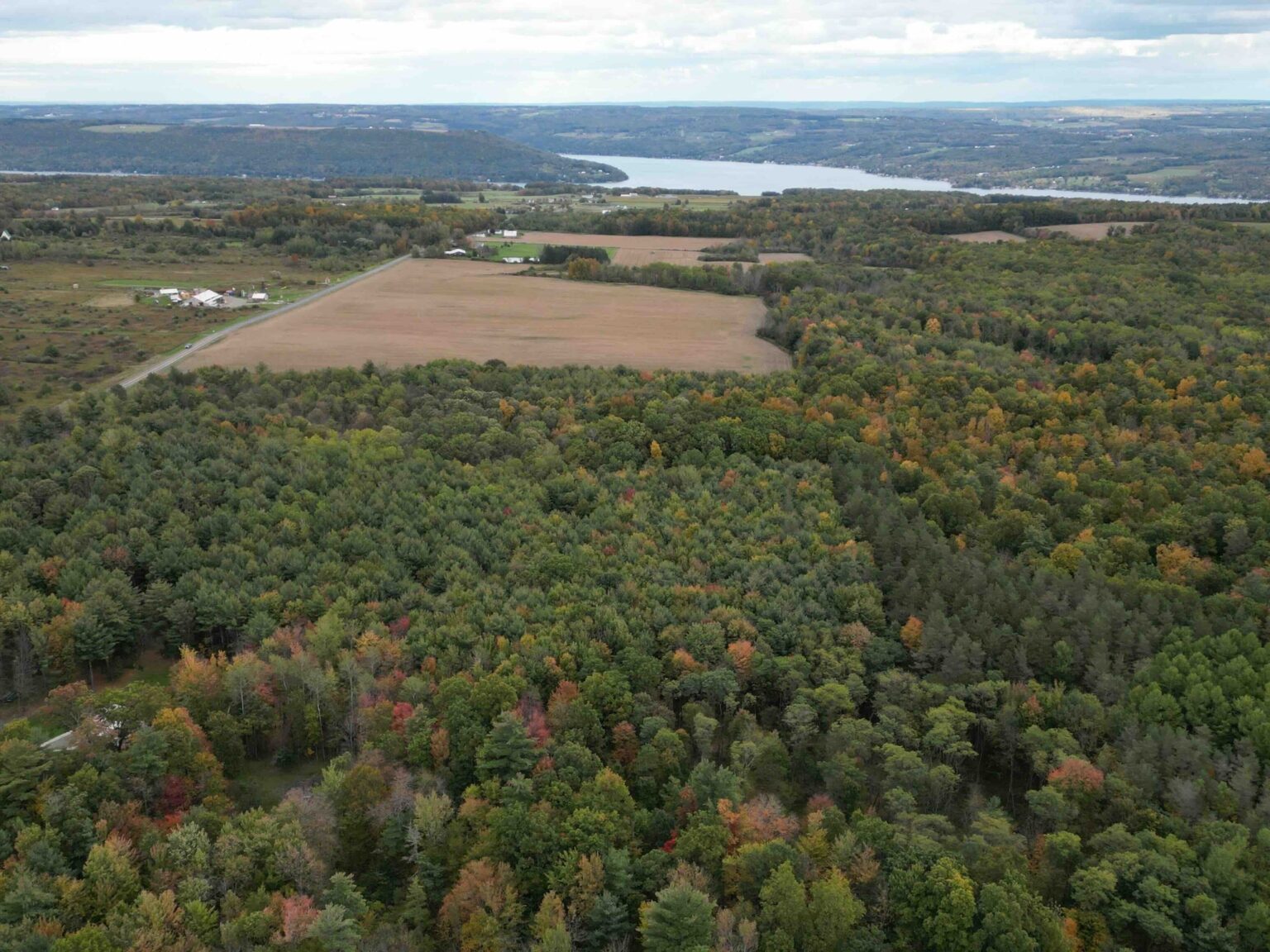 NY Landquest for sale Classic camp with over 100 acres in Pulteney NY