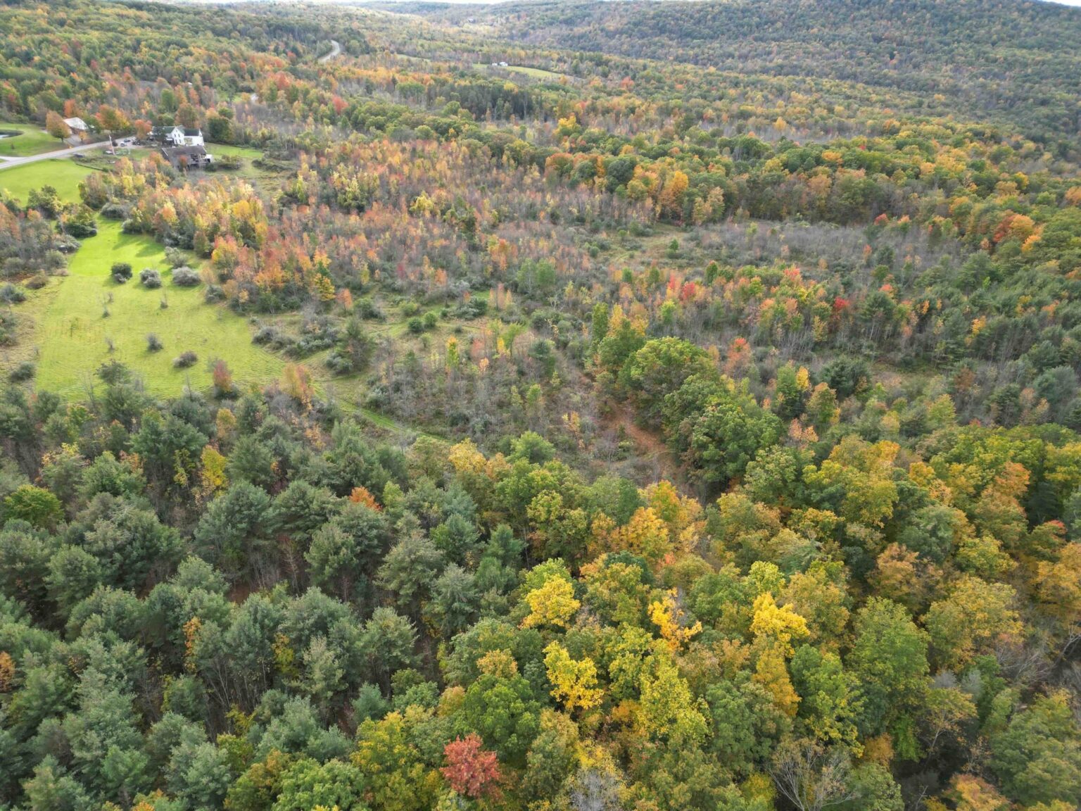 NY Landquest For Sale Prime real estate in Hammondsport NY THE