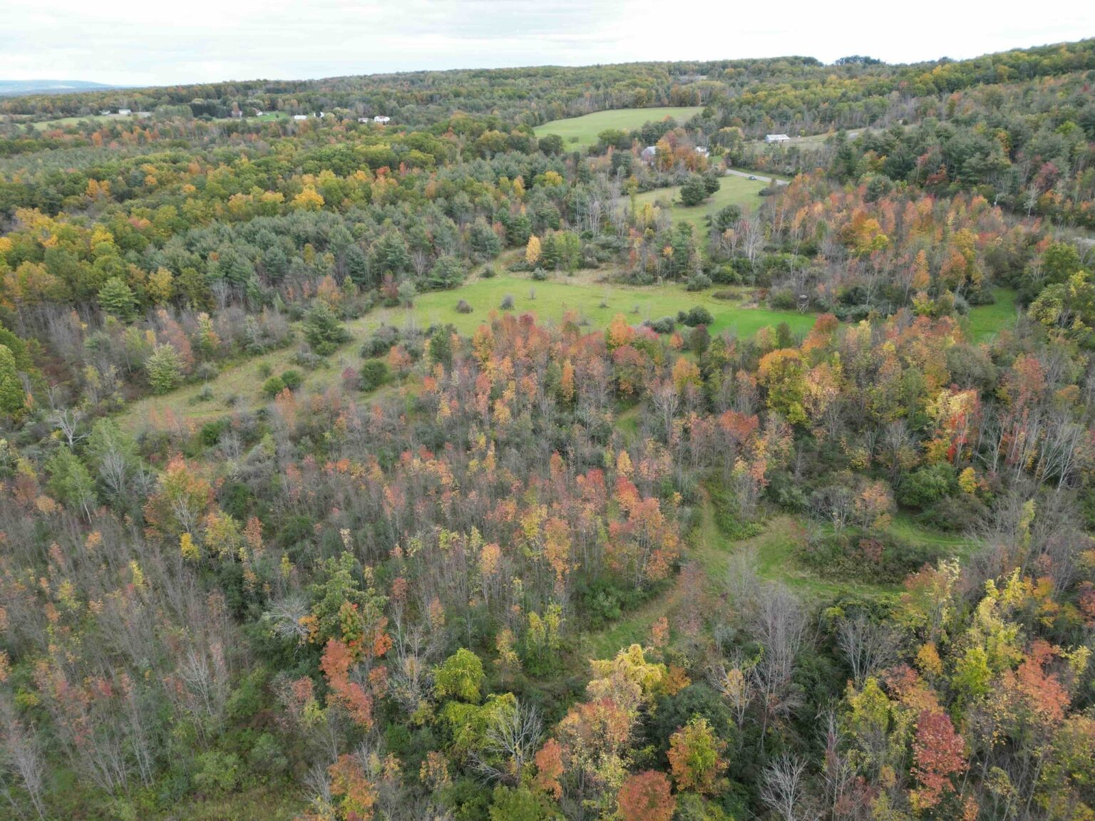 NY Landquest For Sale Prime real estate in Hammondsport NY THE