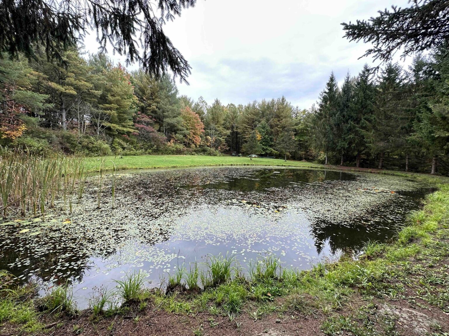 NY Landquest for sale Classic camp with over 100 acres in Pulteney NY