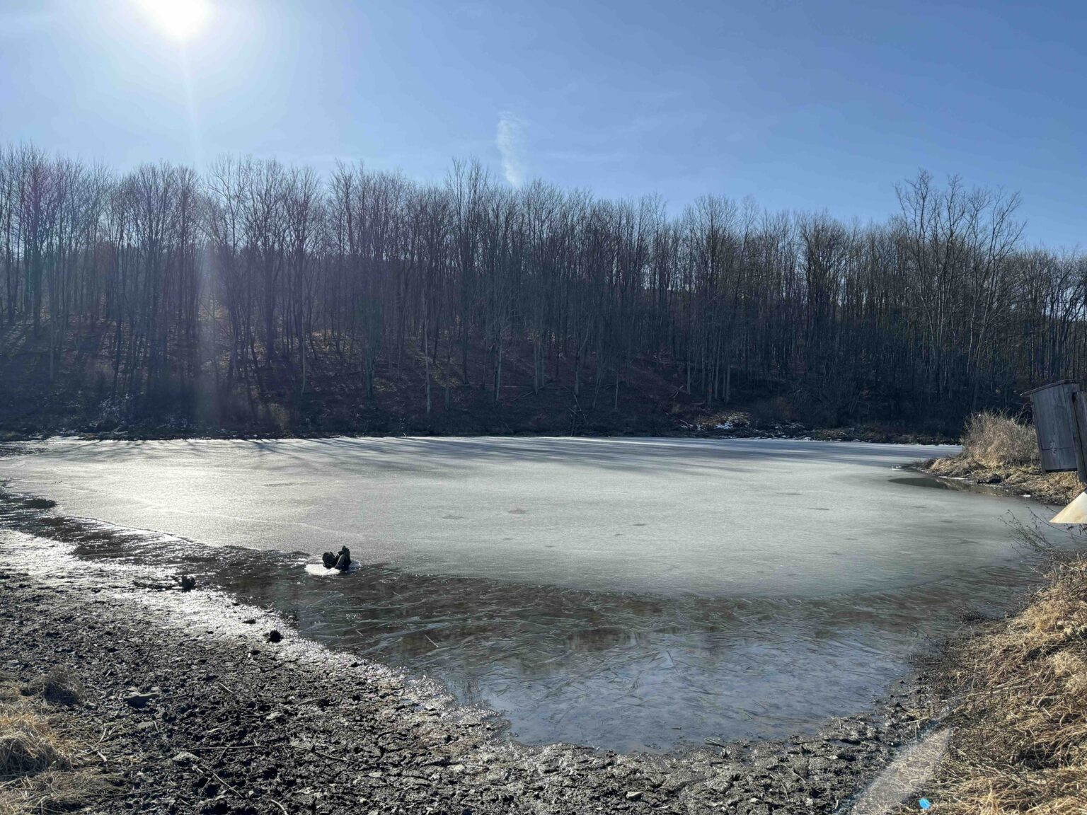 NY Landquest For Sale Ellicottville area property is a must see