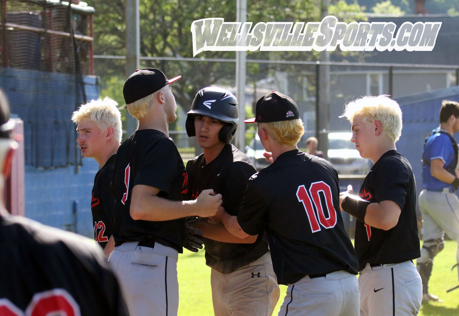 Buchholz leads BolivarRichburg to Section V baseball title THE