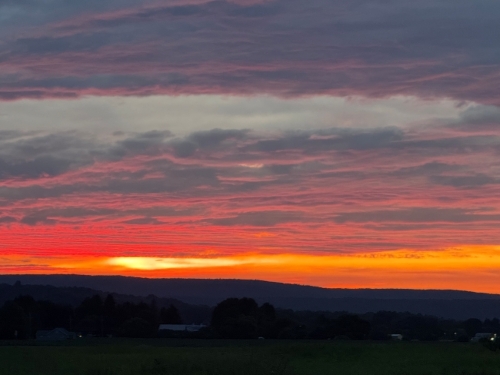 One of New York’s greatest success stories - THE WELLSVILLE SUN