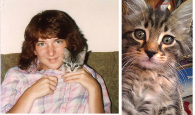 MLK Jr. Nat’l Day of Service: Donation Drive for Joyful Kitties Rescue Sanctuary