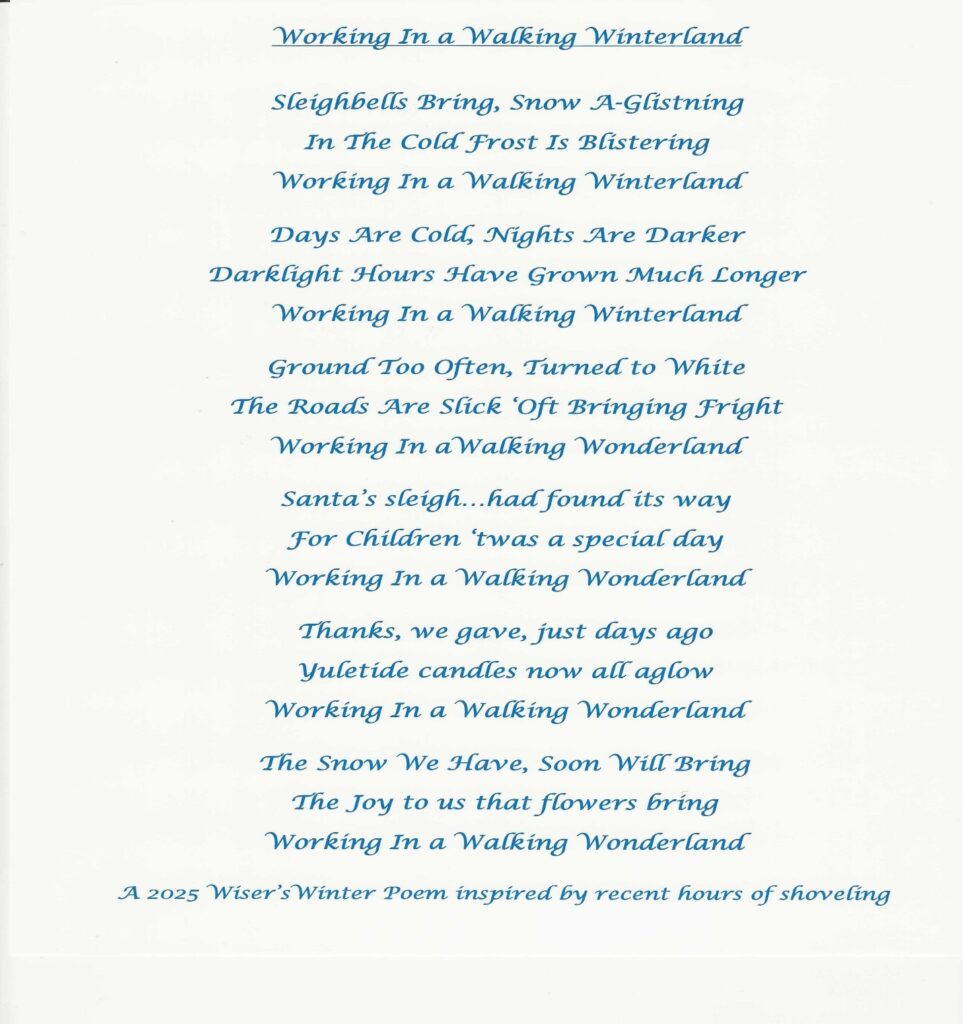 Wiser S Wramblings Newly Fallen Snow In A Newly Started Year THE 1 963x1024 