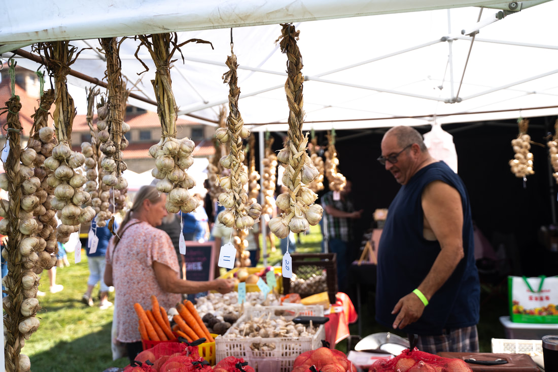 Cuba Garlic Festival Returns September 19 & 20 to Empire City Farms