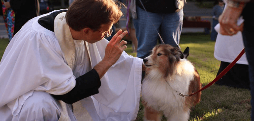 St. John's Episcopal Church in Wellsville: Clothing giveaway, Blessing of the Pe...